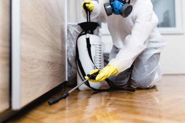 Best Pest Control Treatment  in Holiday Island, AR