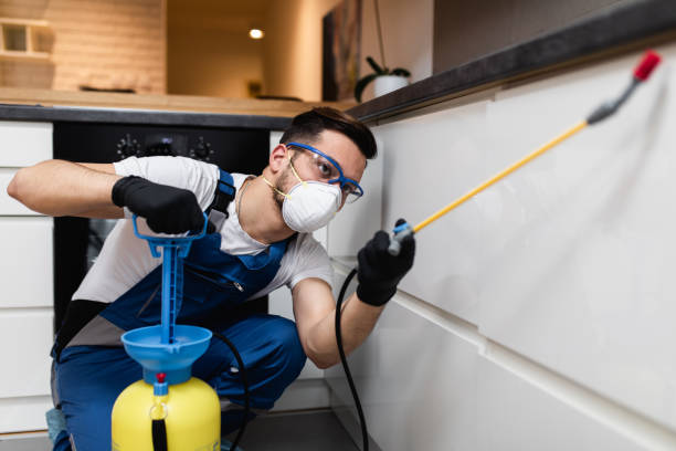 Best Bed Bug Extermination  in Holiday Island, AR