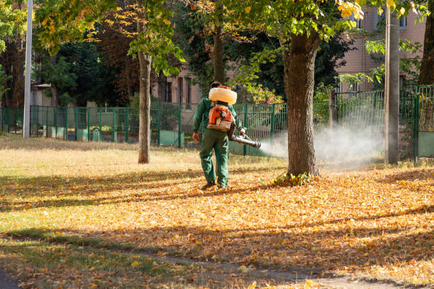 Best Emergency Pest Control  in Holiday Island, AR