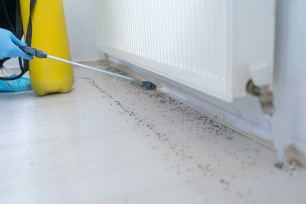 Best Exterminator Services  in Holiday Island, AR
