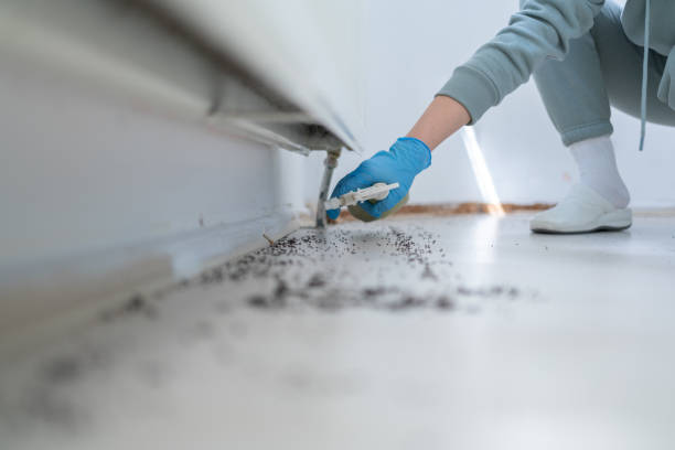 Best Pest Inspection Near Me  in Holiday Island, AR