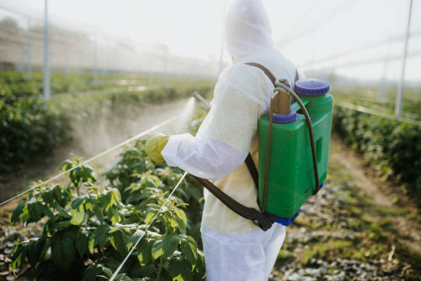 Best Affordable Pest Control Services  in Holiday Island, AR
